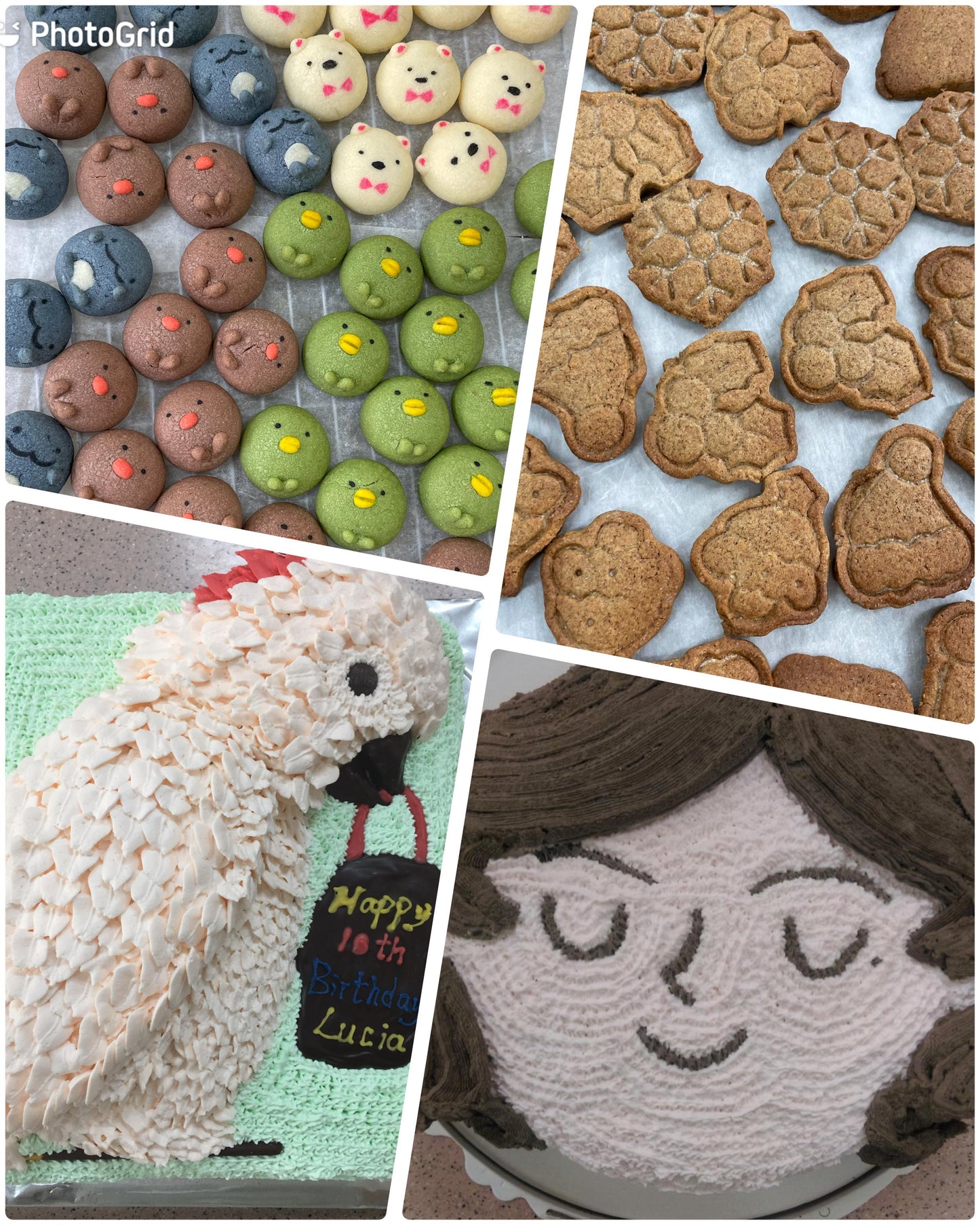 蛋糕/曲奇/酥餅